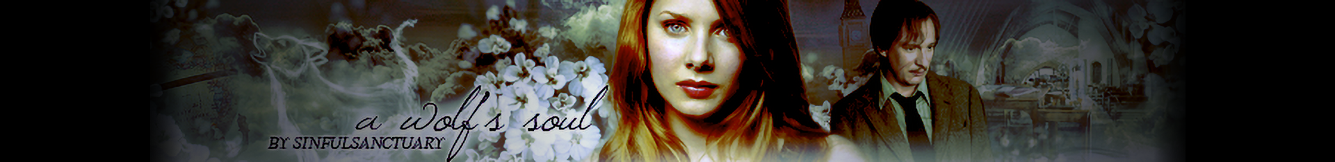 a wolfs soul